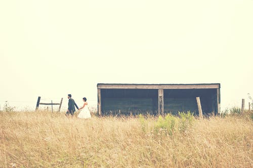 夫妻在棕色粮田上行走 · 免费素材图片