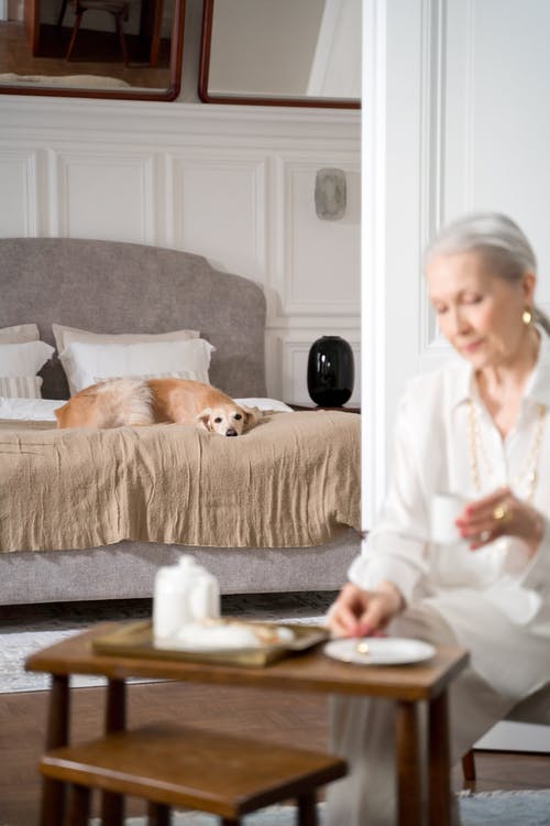 有关享乐主义, 动物行为, 垂直拍摄的免费素材图片