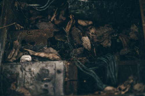 堆干落叶 · 免费素材图片