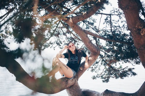 女人坐在树上的照片 · 免费素材图片