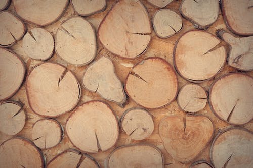 片棕色木原木 · 免费素材图片