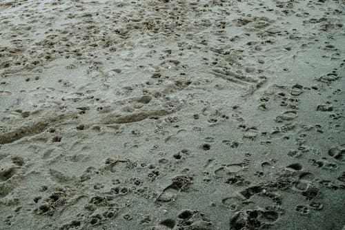沙滩上的足迹照片 · 免费素材图片