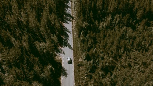 有关交通系统, 公路旅行, 基础设施的免费素材图片