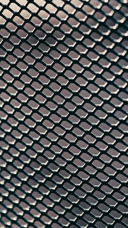 有关Copyspace, 保护, 全画幅的免费素材图片