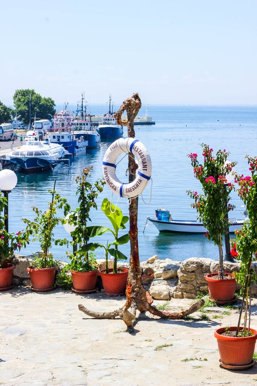 有关停泊, 冷静, 和平的的免费素材图片