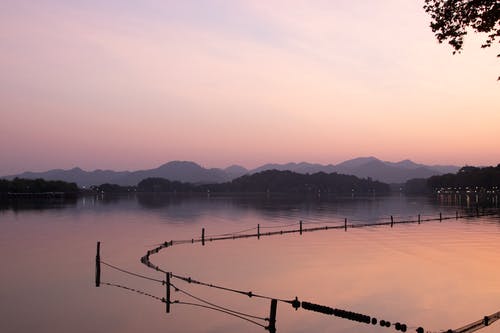 有关冷静, 剪影, 天空的免费素材图片