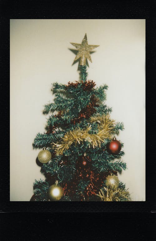 圣诞树照片 · 免费素材图片