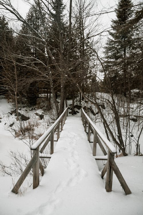 棕色木桥覆盖着雪 · 免费素材图片