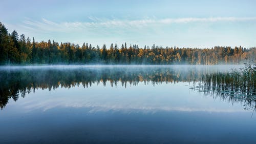 平静湖附近的树木照片 · 免费素材图片