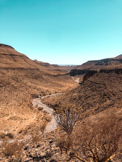 蓝蓝的天空下布朗山上的棕色裸树 · 免费素材图片