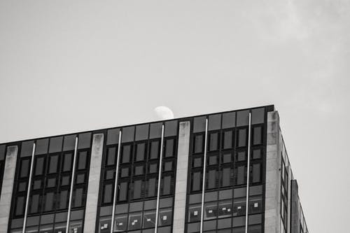 有关bw, 从下面, 低角度的免费素材图片