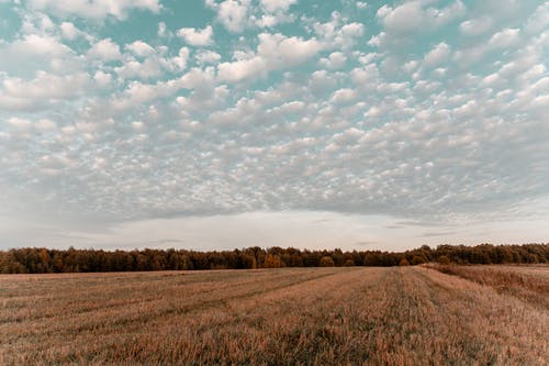 多云的天空下的农业土地 · 免费素材图片