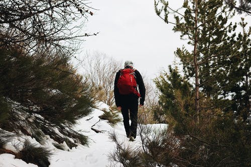 在树木旁边的雪地上行走的人 · 免费素材图片