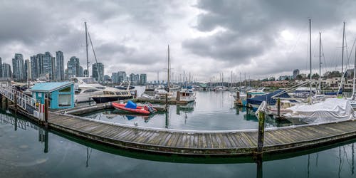 有关交通系统, 木板, 木栈道的免费素材图片