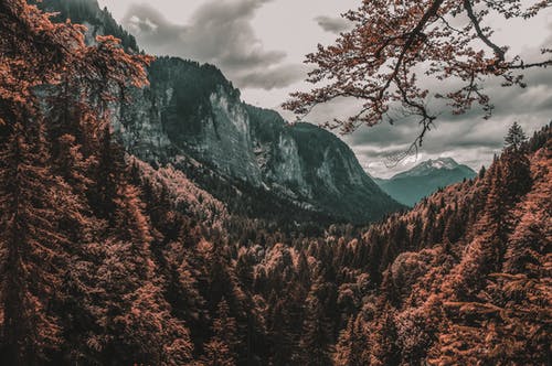 跨山森林的风景照片 · 免费素材图片