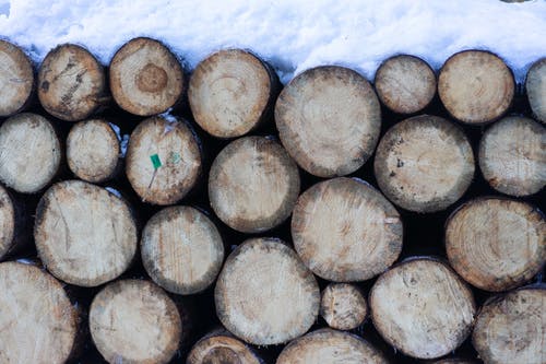 棕色木原木覆盖着雪 · 免费素材图片