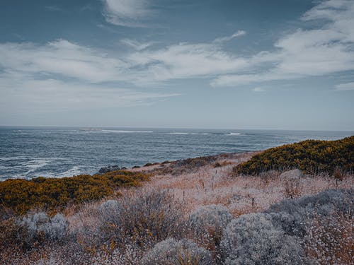 蓝天下的水体 · 免费素材图片