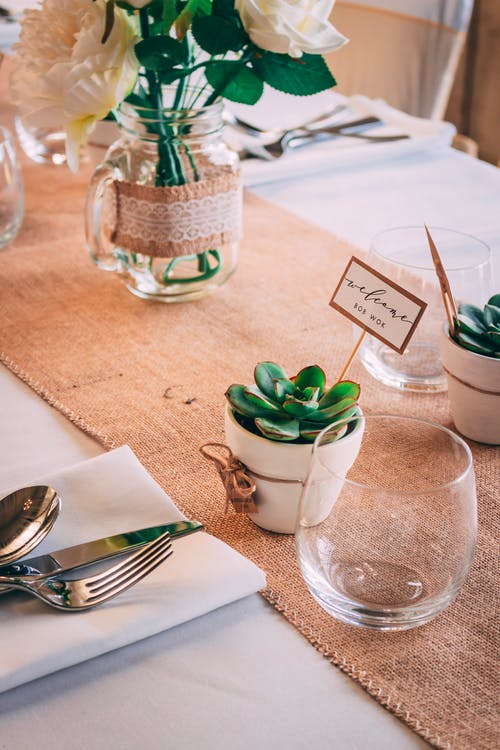 绿色的肉质植物，在白色的餐巾纸上的不锈钢叉子和面包刀旁边的白色陶瓷锅中 · 免费素材图片