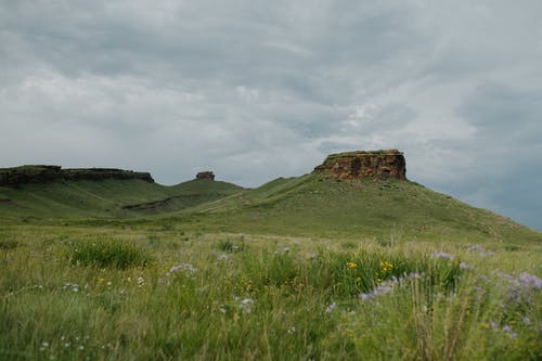在小山上的绿草与宁静的田野 · 免费素材图片