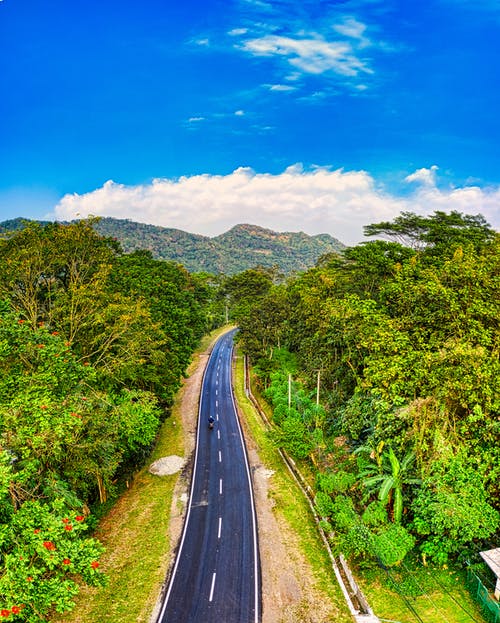 有关乡村小路, 印尼, 天性的免费素材图片