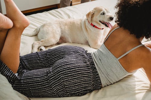 女性在与小狗的舒适的床上说谎在家 · 免费素材图片