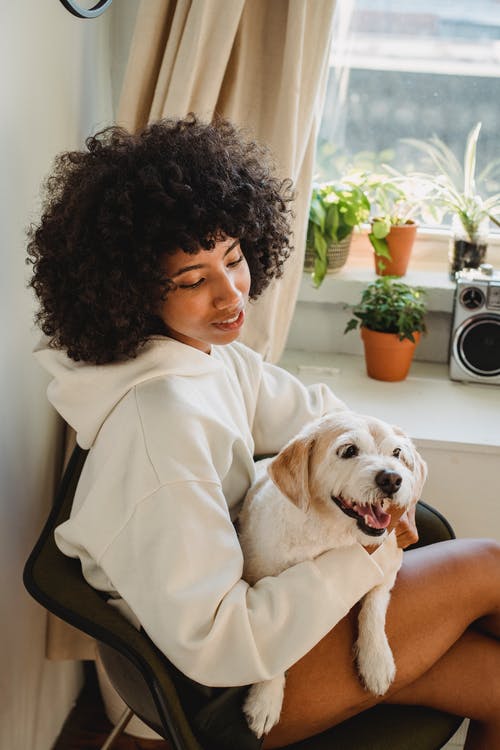 黑人妇女抱着有趣的小狗，坐在家里 · 免费素材图片