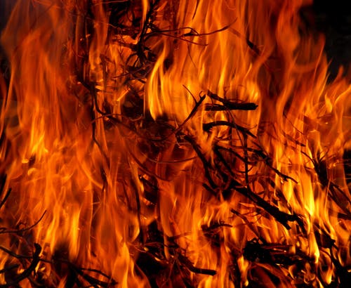 在时间流逝中燃烧树 · 免费素材图片