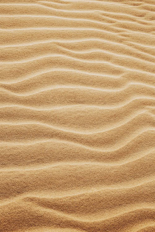 干燥沙漠中的细沙丘 · 免费素材图片