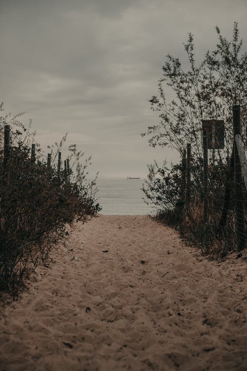 有关佩服, 冷静, 和平的的免费素材图片