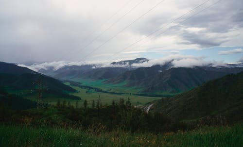 有关和平的, 和谐, 土地的免费素材图片