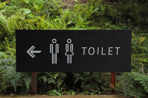 绿叶旁边的厕所标牌 · 免费素材图片