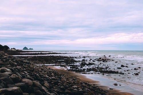 布朗沙滩 · 免费素材图片