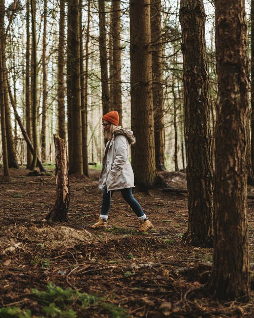 灰色外套在森林上行走的女人 · 免费素材图片