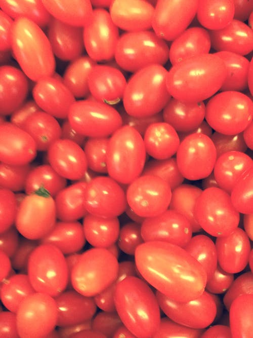 番茄水果 · 免费素材图片