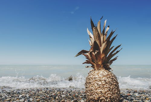 布朗菠萝在沙滩上 · 免费素材图片