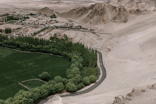 沙地附近的绿色领域 · 免费素材图片