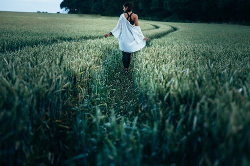 白天在稻田里散步的女人 · 免费素材图片