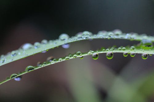 关闭了水滴的照片 · 免费素材图片