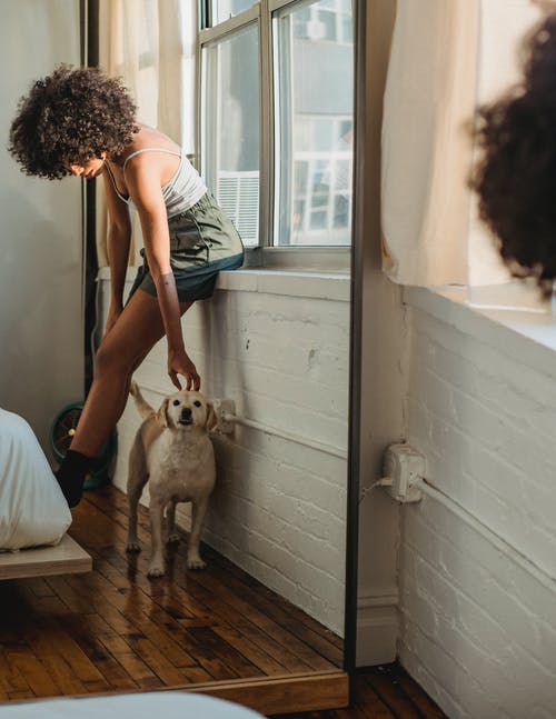 非洲裔美国老妇在卧室里抚摸狗 · 免费素材图片