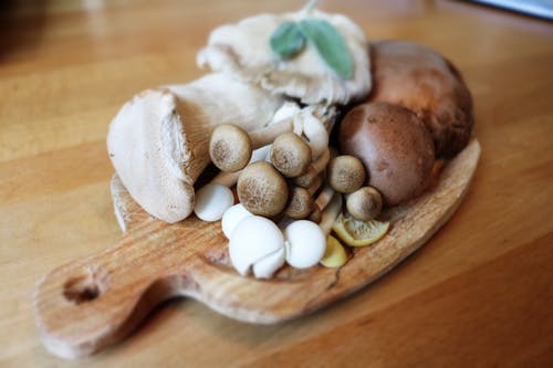 蘑菇在棕色木制板上 · 免费素材图片