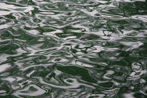 有关光反射, 水, 水波的免费素材图片