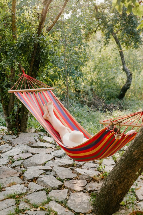 在绿树丛中的吊床上休息的女人 · 免费素材图片