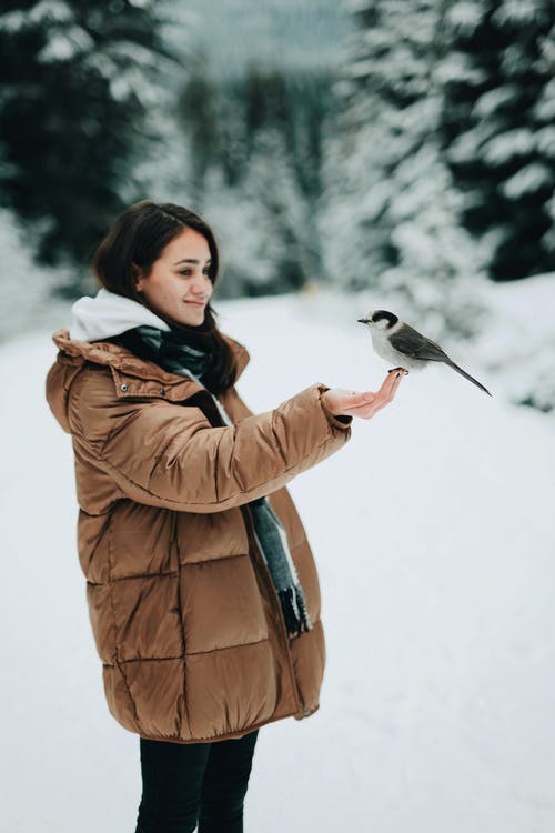 女人拿着鸟时穿棕色外套 · 免费素材图片