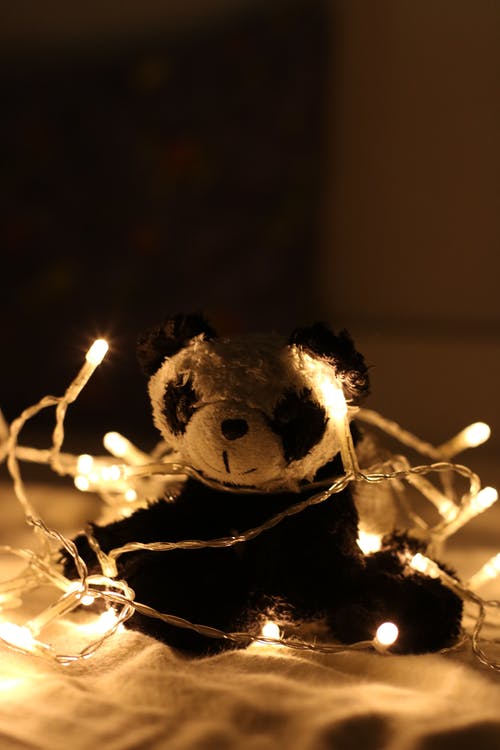 浅褐色的灯串包围的熊猫毛绒玩具 · 免费素材图片