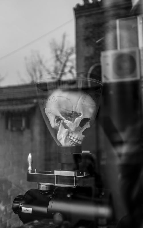 有关bw, 乾的, 人类的免费素材图片