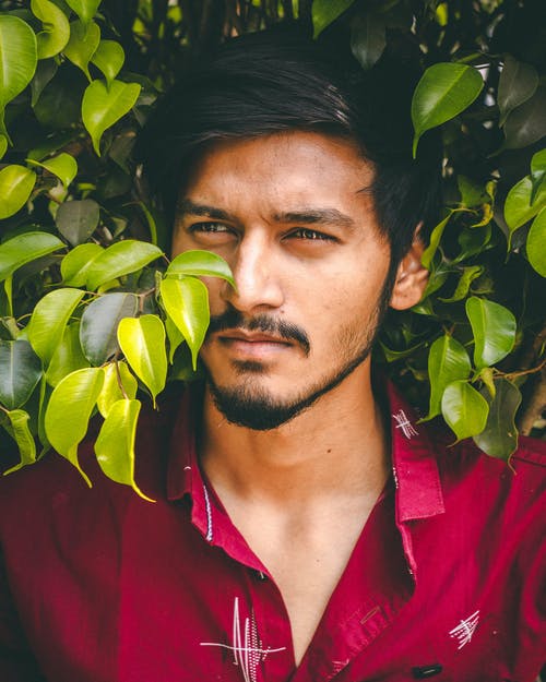 有关人, 家伙, 严肃的免费素材图片