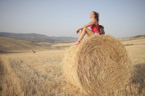 坐在棕色的干草卷上的粉红色背心的女人 · 免费素材图片