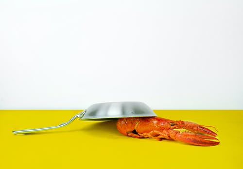 橙色龙虾附近的灰色钢烹饪锅 · 免费素材图片