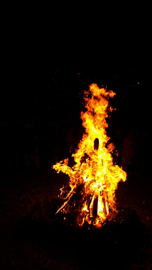 夜间篝火晚会 · 免费素材图片
