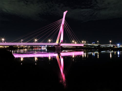 有关光, 吊桥, 桥的免费素材图片